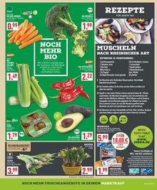 Blumen im Marktkauf Prospekt "Aktuelle Angebote" mit 20 Seiten (Hagen (Stadt der FernUniversität))