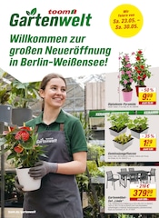 Gartenbepflanzung Angebote im Prospekt "Respekt, wer's selber macht." von toom Baumarkt Gartenbepflanzung Angebote im Prospekt "Respekt, wer's selber macht." von toom Baumarkt auf Seite 16