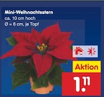 Aktuelle Zimmerpflanzen Angebote bei Netto Marken-Discount in Mannheim Aktuelles Mini-Weihnachtsstern Angebot bei Netto Marken-Discount in Mannheim ab 1,11 €