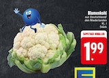 Blumenkohl im Angebot bei EDEKA in Augsburg Blumenkohl Angebote bei EDEKA Augsburg für 1,99 €