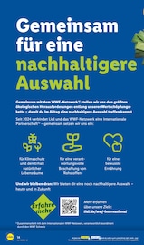 Wäscheständer im Lidl Prospekt in Kiel Aktueller Lidl Prospekt mit Wäscheständer, "LIDL LOHNT SICH", Seite 22