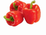 Netto Marken-Discount - Paprika rot Angebot im Prospekt Paprika rot bei Netto Marken-Discount im Prospekt "" für 1,45 €