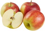 Apfel im REWE Prospekt Rote Tafeläpfel im aktuellen REWE Prospekt für 1,79 €