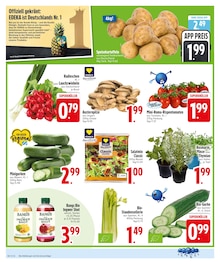 Saft im EDEKA Prospekt "Wir lieben Lebensmittel." mit 26 Seiten (Ingolstadt)