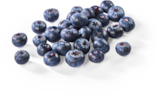 Netto Marken-Discount Höfen - Heidelbeeren Angebot im Prospekt Heidelbeeren bei Netto Marken-Discount im Höfen Prospekt für 2,22 €