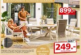 Dining Sessel Fano  im aktuellen Segmüller Prospekt für 249,00 €
