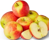 Äpfel im Penny Prospekt Bio-Äpfel im aktuellen Penny Prospekt für 1,99 €