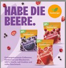 HABE DIE BEERE Angebote von Seeberger bei Marktkauf Freiburg