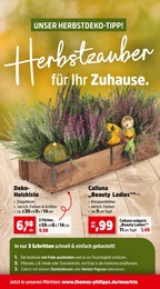Thomas Philipps Zimmerpflanzen im Prospekt 