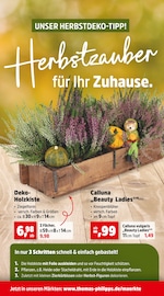 Aktueller Thomas Philipps Prospekt mit Wohnwand, "Top Angebote", Seite 4