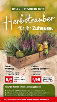 Zimmerpflanzen im aktuellen Thomas Philipps Prospekt (Dresden) Zimmerpflanzen im Thomas Philipps Prospekt "Top Angebote" mit 20 Seiten (Dresden)