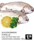 AUSGENOMMENE FORELLE im Angebot bei E center in Düsseldorf AUSGENOMMENE FORELLE Angebote bei E center Düsseldorf für 1,19 €