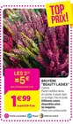 Delbard Crest - Promo Bruyère "Beauty ladies" Promo Bruyère "Beauty ladies" à 1,67 € dans le catalogue Delbard à Crest