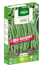 Haricot vert "Oxinel 2" Vilmorin à 9,99 € dans le catalogue Jardiland