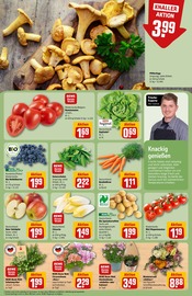 Aktueller REWE Prospekt mit Tierfutter, "Dein Markt", Seite 9