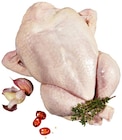 Aktuelle Huhn Angebote bei REWE in Bochum Aktuelles Frisches Grillhähnchen Angebot bei REWE in Bochum ab 0,49 €