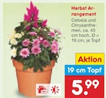 Herbst Arrangement bei Netto Marken-Discount im Prospekt "" für 5,99 €