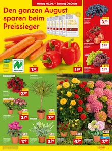 Käse im aktuellen Netto Marken-Discount Prospekt (Heilbronn) Käse im Netto Marken-Discount Prospekt "Aktuelle Angebote" mit 49 Seiten (Heilbronn)