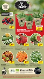 Bio Lebensmittel Angebot im aktuellen toom Baumarkt Prospekt auf Seite 6