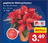 Aktuelle Pflanzen Angebote bei Netto Marken-Discount in Chemnitz Aktuelles geglitterter Weihnachtsstern Angebot bei Netto Marken-Discount in Chemnitz ab 3,49 €