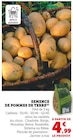 Semence de pommes de terre en promo chez Hyper U Saint-Herblain à 4,99 €