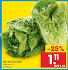 Mini-Romana Salat bei Netto Marken-Discount im Prospekt "" für 1,11 €