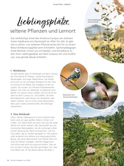 Holz im Alnatura Prospekt in Leonberg Aktueller Alnatura Prospekt mit Holz, "Alnatura Magazin", Seite 38