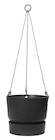 Truffaut Ancône - Promo Pot suspension Greenville Promo Pot suspension Greenville à 12,99 € dans le catalogue Truffaut à Ancône