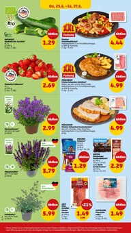 Blumen im Penny Prospekt "Wer günstig will, muss Penny." mit 39 Seiten (Augsburg)