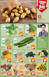 REWE Bio Ingwer im Prospekt REWE Bio Ingwer im Prospekt