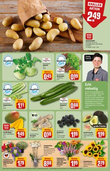 Blumen im REWE Prospekt "Dein Markt" mit 30 Seiten (Augsburg)