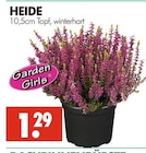 Wreesmann - HEIDE Angebot im Prospekt HEIDE bei Wreesmann im Prospekt "" für 1,29 €