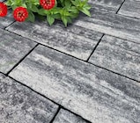 Terrassenplatte „Soller“ im Angebot bei Hagebaumarkt in Bruchsal Terrassenplatte „Soller“ Angebote von Mr. Gardener bei Hagebaumarkt Bruchsal für 3,39 €