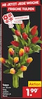 Aktuelles Tulpen Angebot bei Netto Marken-Discount in Mönchengladbach ab 1,99 €