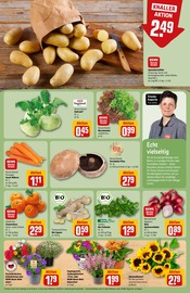 Blumen im REWE Prospekt in Heidenheim Aktueller REWE Prospekt mit Blumen, "Dein Markt", Seite 7