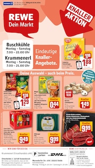 REWE Prospekt "Dein Markt" mit  Seiten (Oerlinghausen)