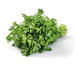 Petersilie bei Lidl im Prospekt "" für 1,49 €