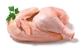 Frisches halbes Suppenhuhn im Netto mit dem Scottie Prospekt zum Preis von 6,49 €
