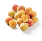 Promo Abricot à 3,49 € dans le catalogue Lidl à Pont-de-Roide