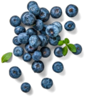 Rumän./poln. Kulturheidelbeeren XXL im Kaufland Prospekt Rumän./poln. Kulturheidelbeeren XXL im aktuellen Kaufland Prospekt für 2,99 €