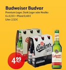 Premium Lager im Angebot bei Getränke Hoffmann in Spremberg Premium Lager Angebote von Budweiser Budvar bei Getränke Hoffmann Spremberg für 4,99 €