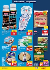 Pfifferlinge im Netto Marken-Discount Prospekt in Wismar Aktueller Netto Marken-Discount Prospekt mit Pfifferlinge, "Aktuelle Angebote", Seite 51