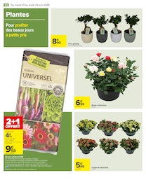 Offre Terreau universel dans le catalogue Carrefour du moment à la page 56