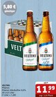Pilsener Angebot in Giersleben Pilsener im aktuellen Prospekt bei Getränke Quelle WVG in Giersleben