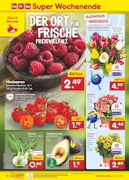 Chrysantheme Angebot im aktuellen Netto Marken-Discount Prospekt auf Seite 46