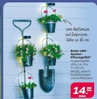 Solar-LED-Spaten-Pflanzgefäß Angebote bei Netto mit dem Scottie Brandenburg für 14,99 €