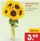 Sonnenblumen Strauß bei Netto Marken-Discount im Prospekt "" für 3,99 €