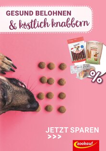 Zookauf Prospekt "GESUND BELOHNEN & köstlich knabbern" mit  Seite (Jessen (Elster))