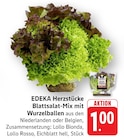 Herzstücke Blattsalat-Mix mit Wurzelballen bei EDEKA im Hausach Prospekt für 1,00 €