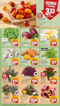 Kartoffeln im aktuellen REWE Prospekt (Bielefeld) Kartoffeln im REWE Prospekt "Dein Markt" mit 28 Seiten (Bielefeld)